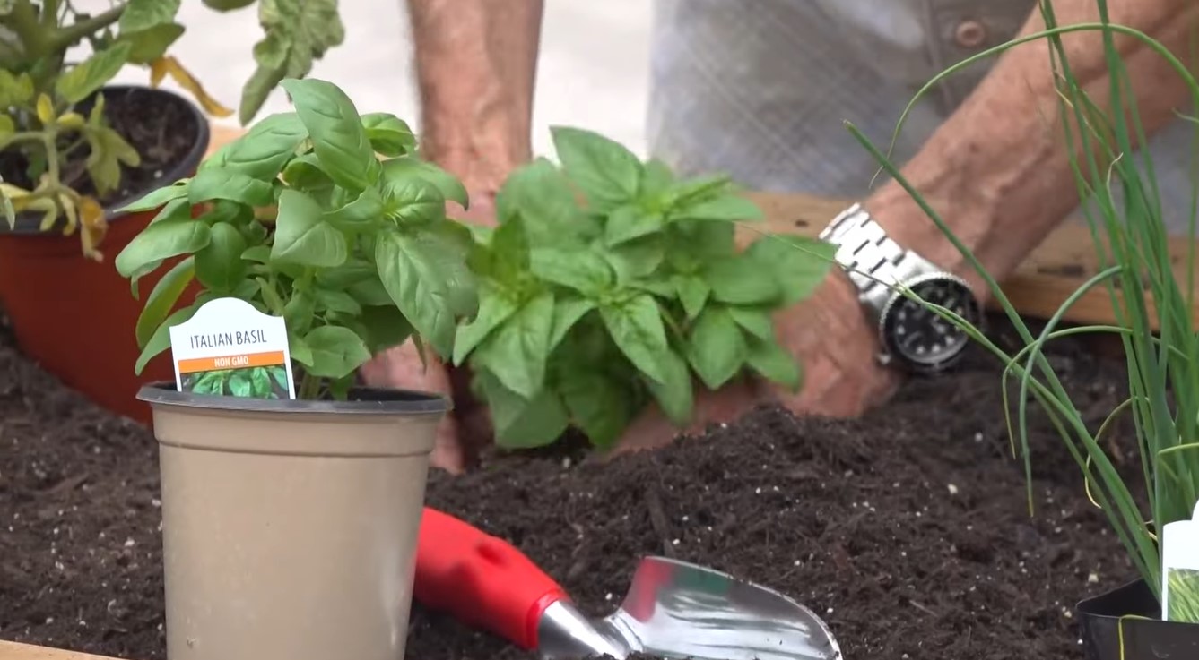 Apartment Gardening Hacks