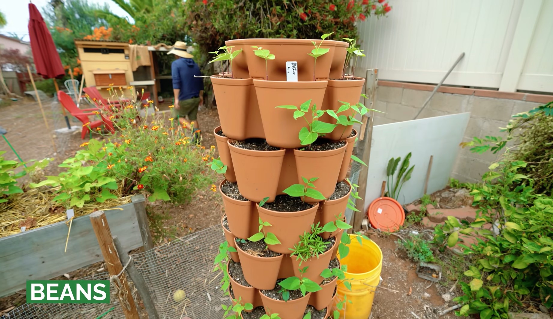 Vertical Gardening for Vegetables