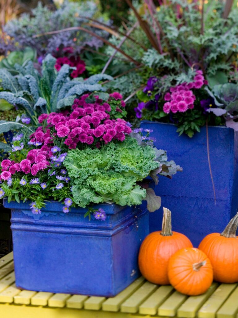 Container Gardening Squash: Grow Lush Vines in Pots!