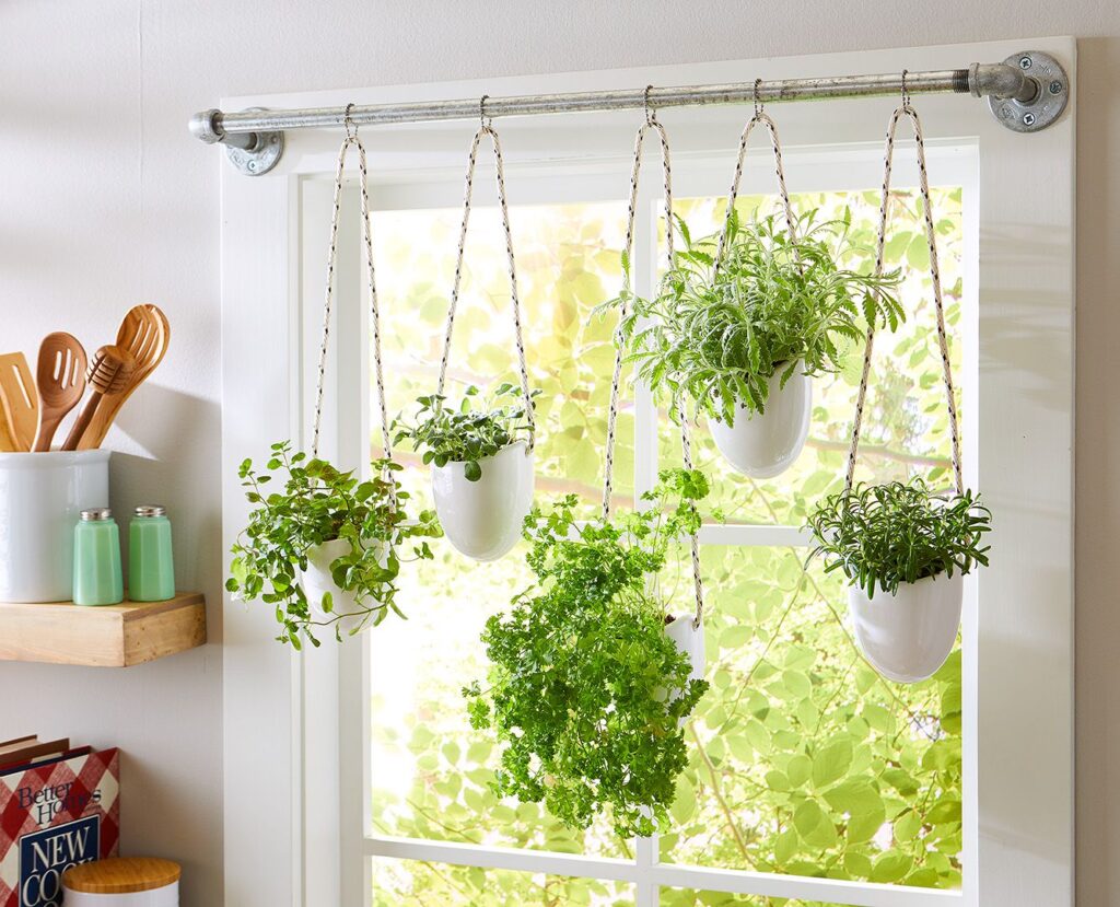 Herb Gardens in Containers: Fresh Flavors at Home