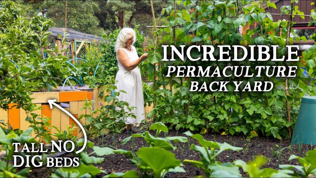 Pictures of Backyard Vegetable Gardens: Inspiring Oasis