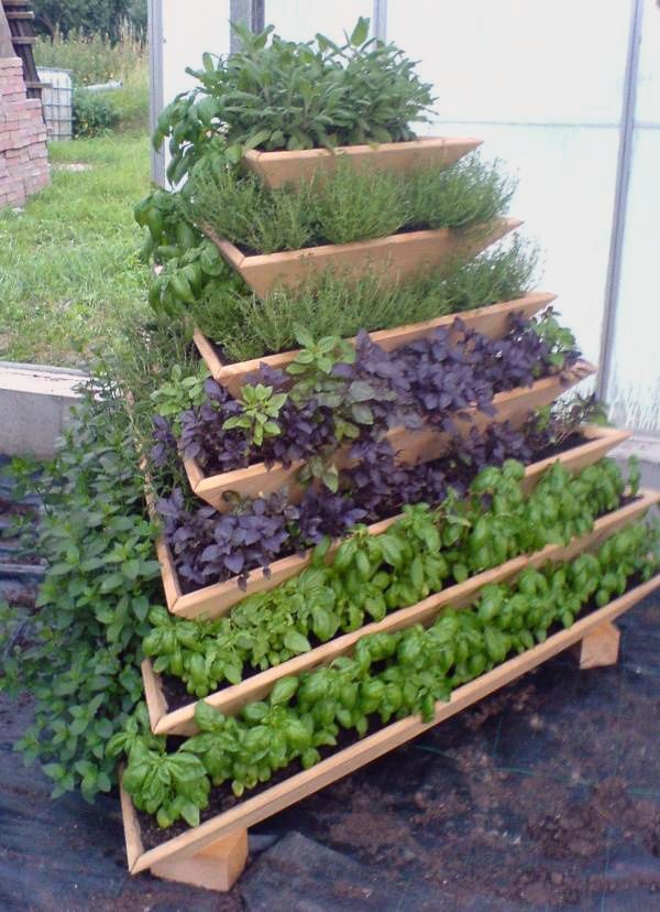 Vertical Gardening for Vegetables: Space-Saving Harvests