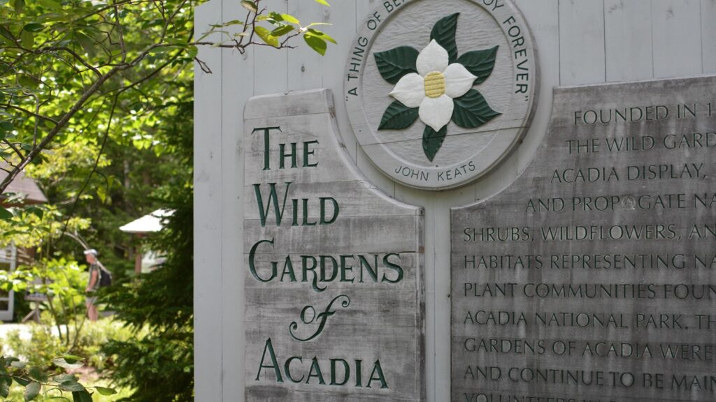 Wild Gardens of Acadia